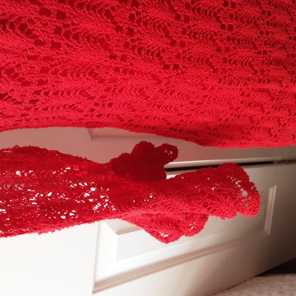 Studio One sz10 Beautiful Red crochet dress - Picture 3 of 4